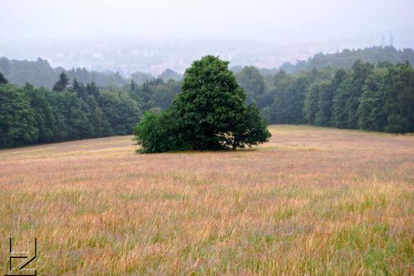 goslar-steinberg-0811-398238FC62DE-9A8E-7890-8741-6C3826B6C913.jpg